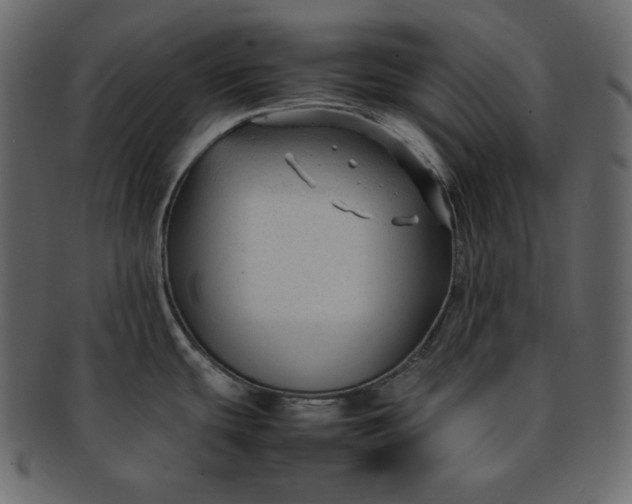 X0000092281439200710051135