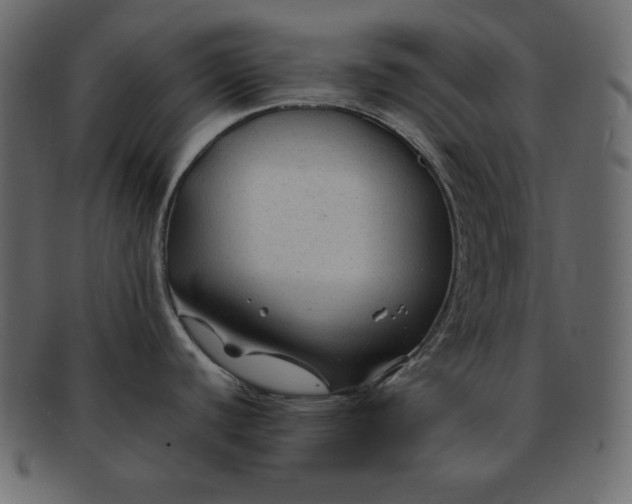 X0000092281440200710051135