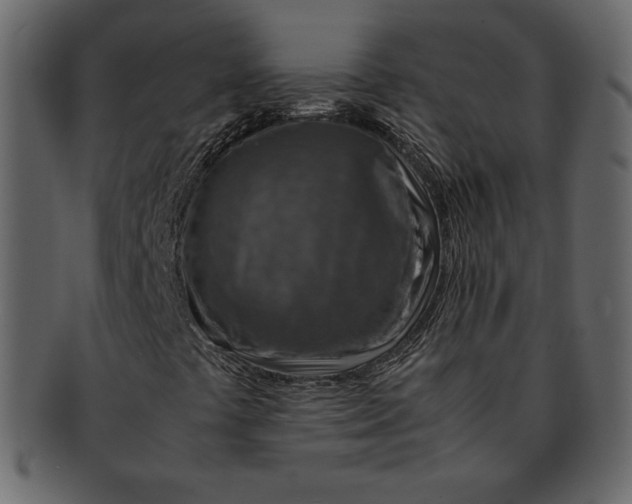 X0000092281441200710051135