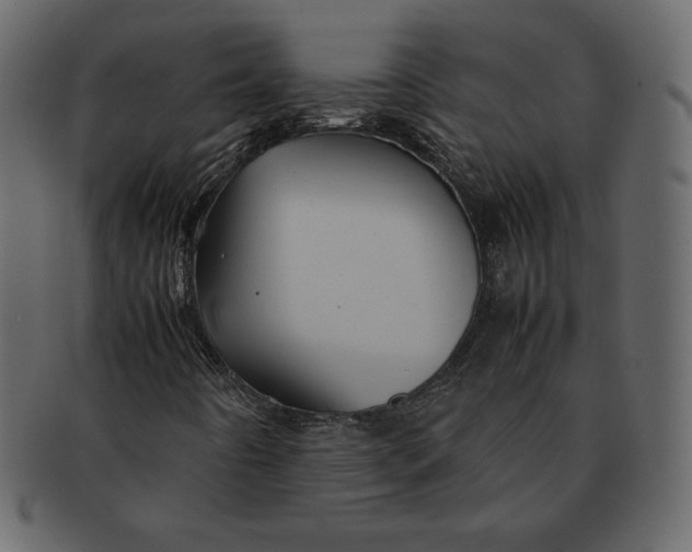 X0000092281442200710051135