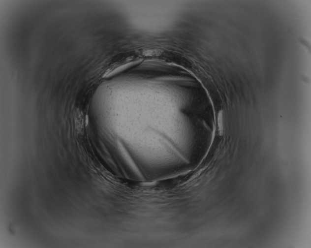 X0000092281443200710051135