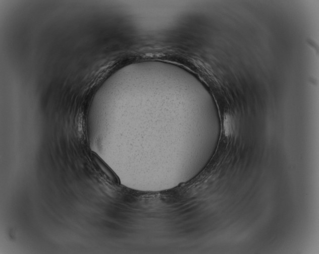 X0000092281444200710051135