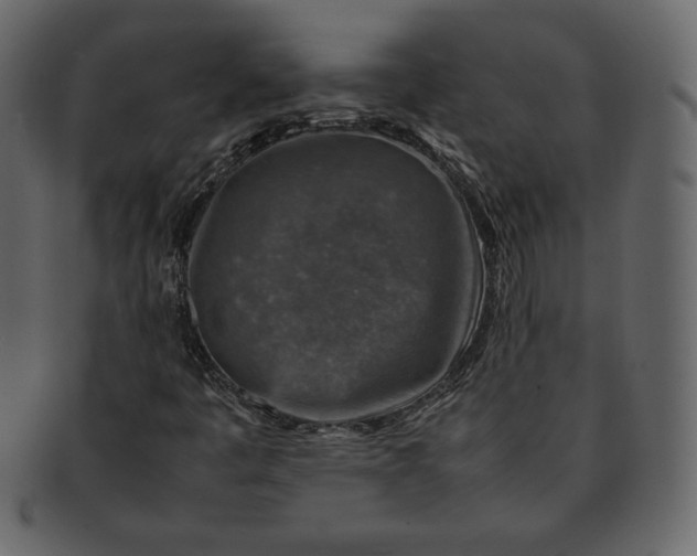 X0000092281445200710051135