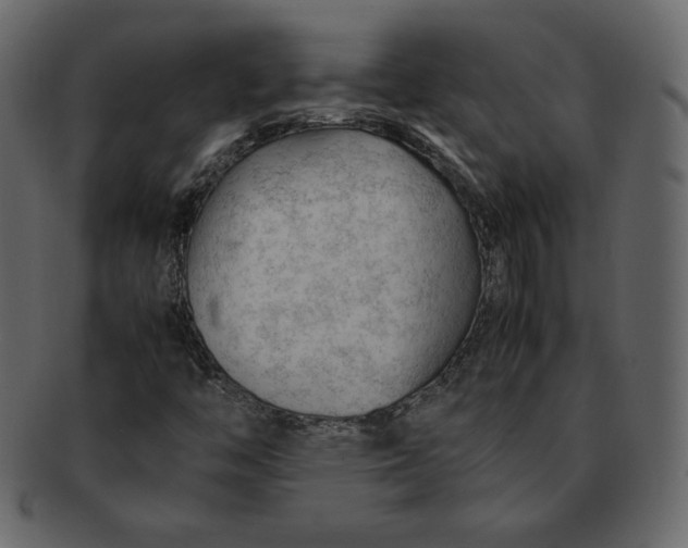 X0000092281446200710051135