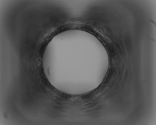 X0000092281447200710051135