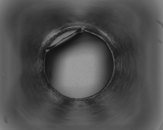 X0000092281448200710051135