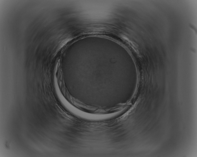 X0000092281449200710051135