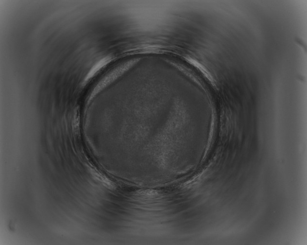 X0000092281450200710051135