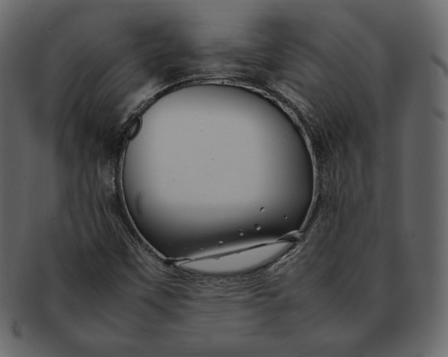 X0000092281451200710051135