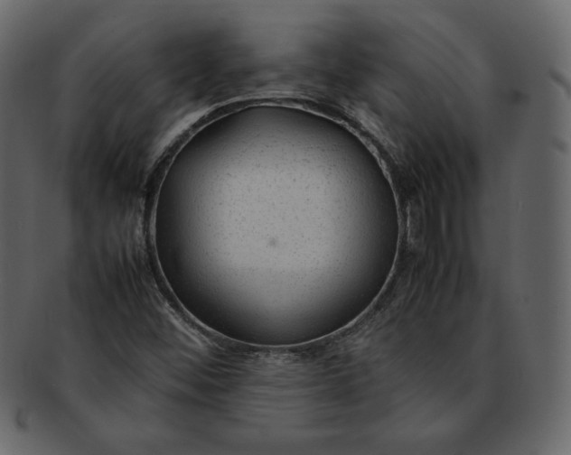 X0000092281452200710051135