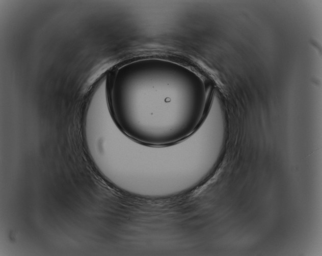 X0000092281453200710051134