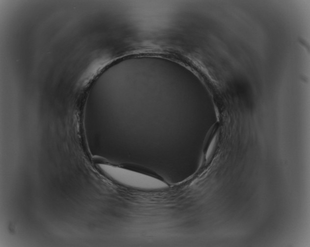 X0000092281455200710051134