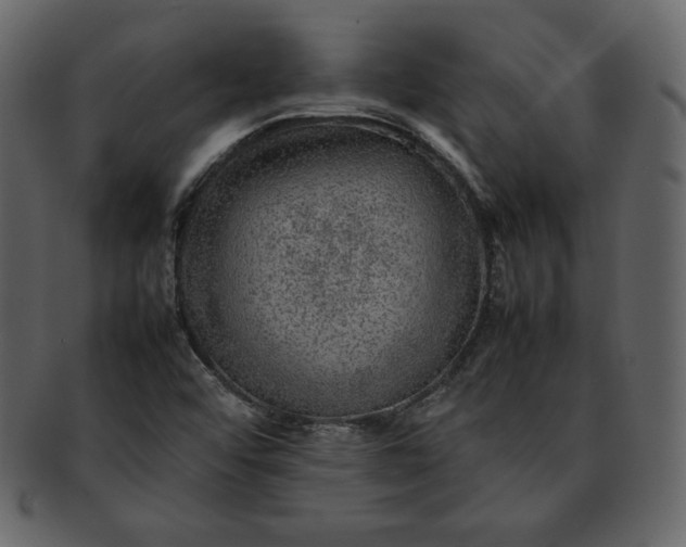 X0000092281456200710051134