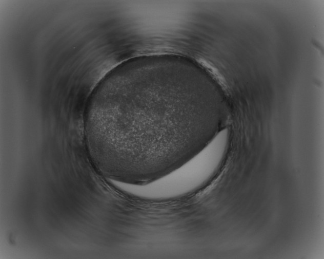 X0000092281457200710051134