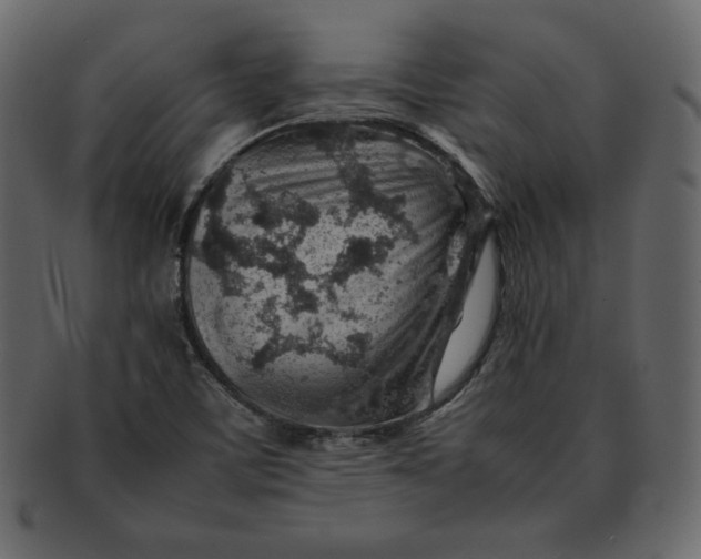 X0000092281459200710051134