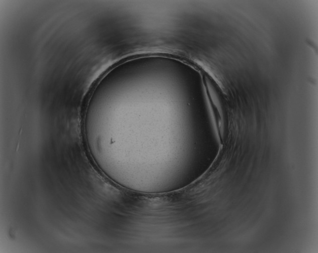 X0000092281460200710051134