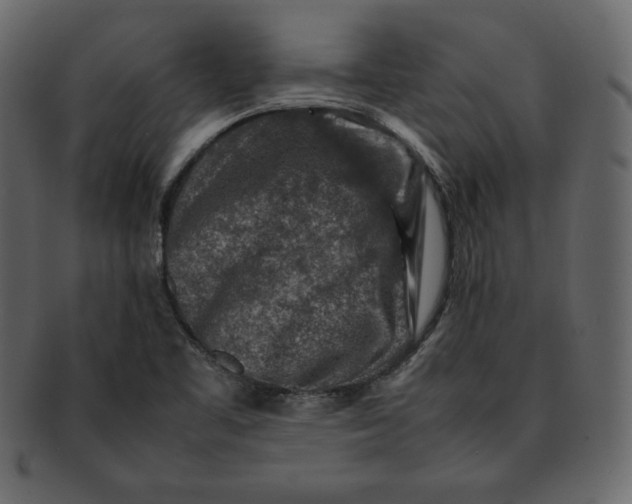 X0000092281461200710051134