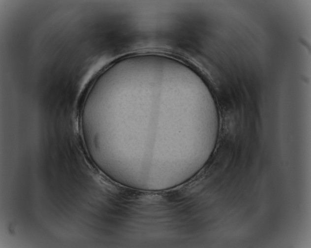 X0000092281462200710051134