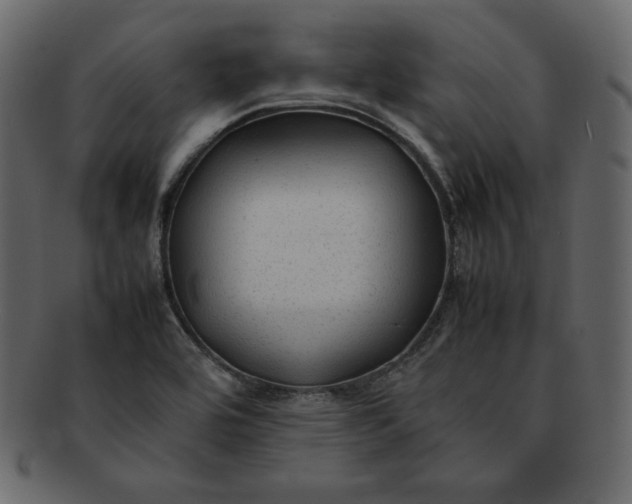 X0000092281464200710051134