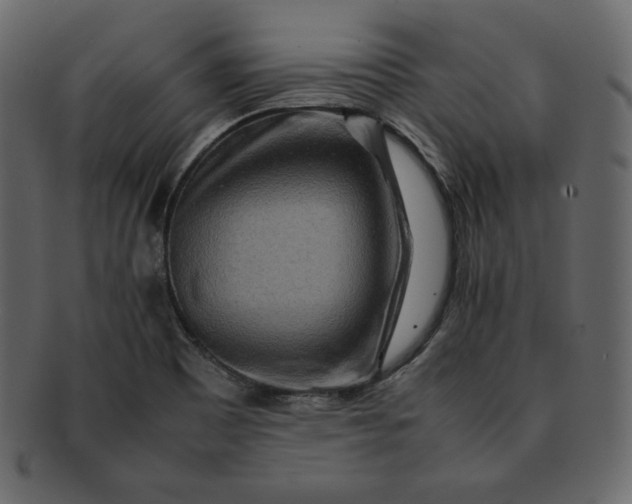 X0000092281465200710051134