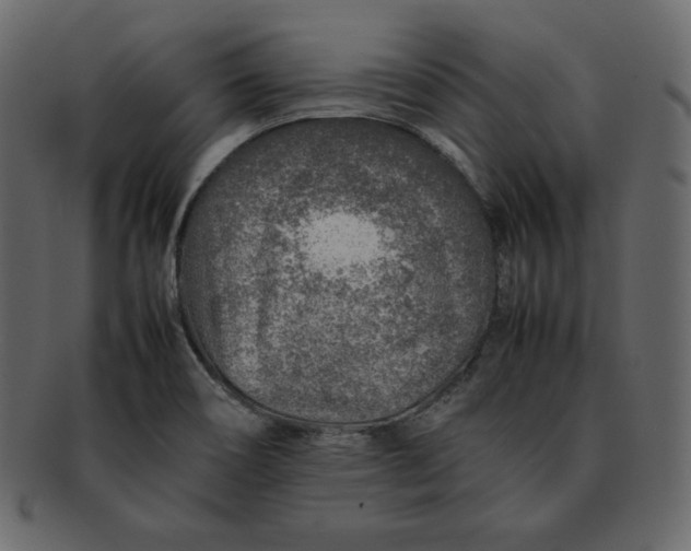 X0000092281466200710051134