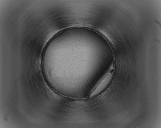 X0000092281468200710051134