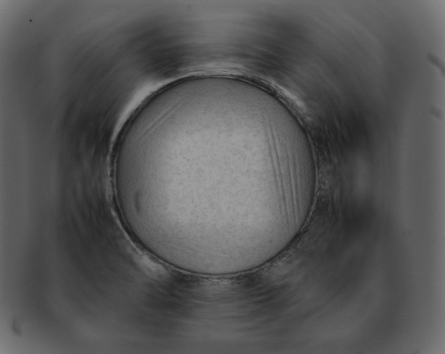 X0000092281470200710051134