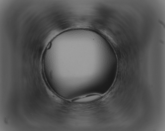 X0000092281471200710051134