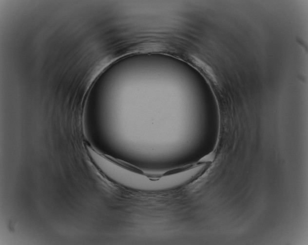 X0000092281473200710051134