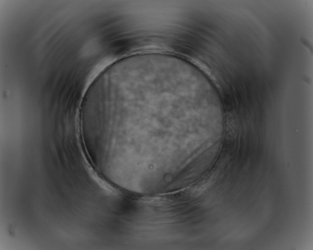 X0000092281474200710051134