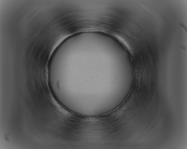 X0000092281476200710051134