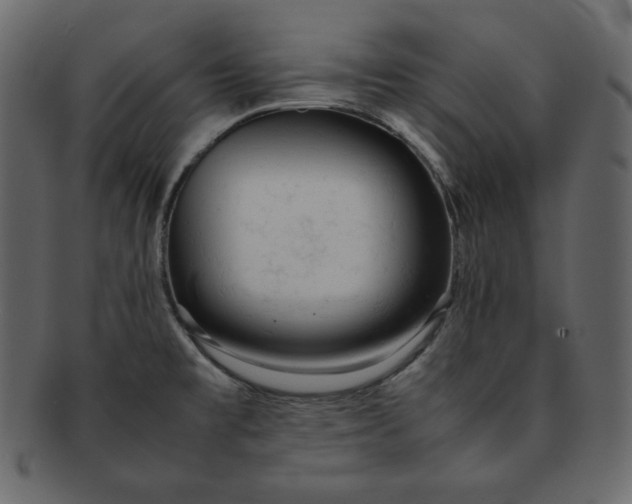 X0000092281477200710051134