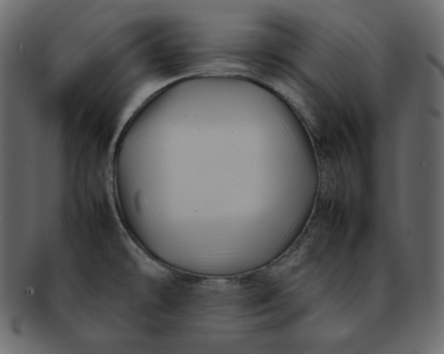 X0000092281478200710051134