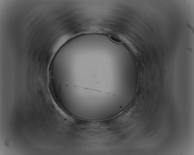 X0000092281479200710051134