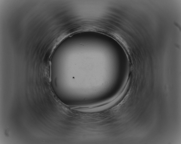 X0000092281481200710051134