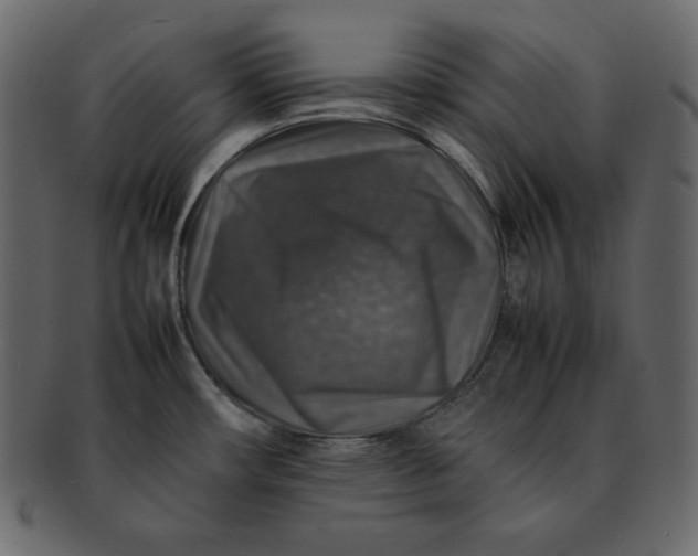 X0000092281482200710051134