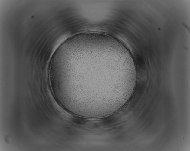 X0000092281483200710051134