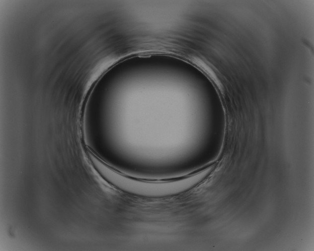 X0000092281485200710051134