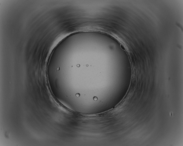 X0000092281486200710051134