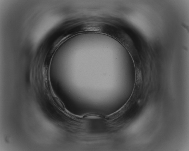 X0000092281487200710051134