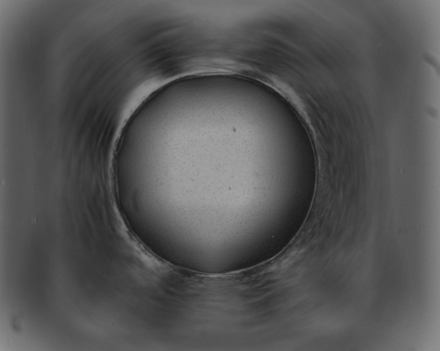 X0000092281488200710051134