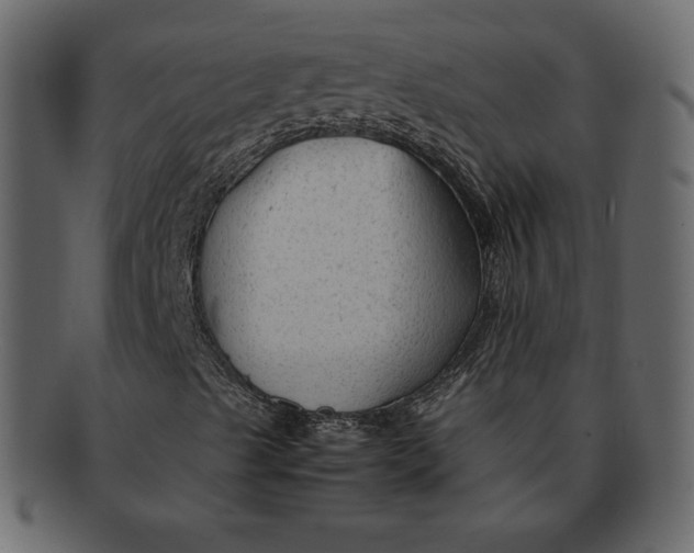 X0000092281489200710051134