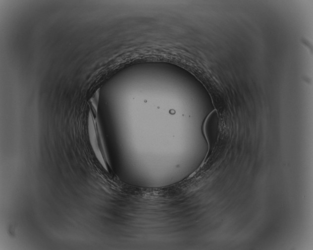 X0000092281490200710051134