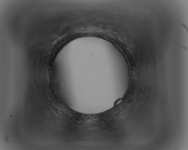 X0000092281493200710051134