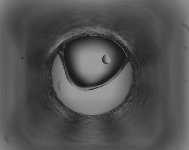 X0000092281496200710051134