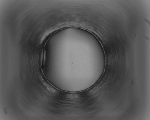 X0000092281499200710051134