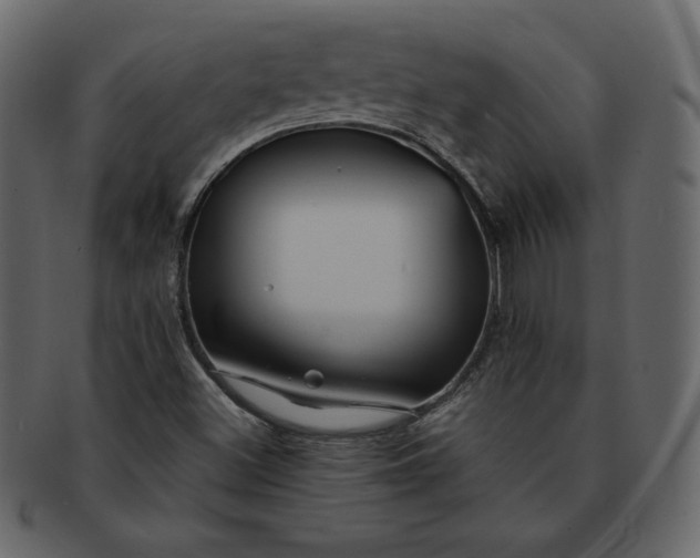 X0000092281500200710051134