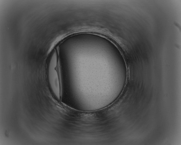 X0000092281501200710051134