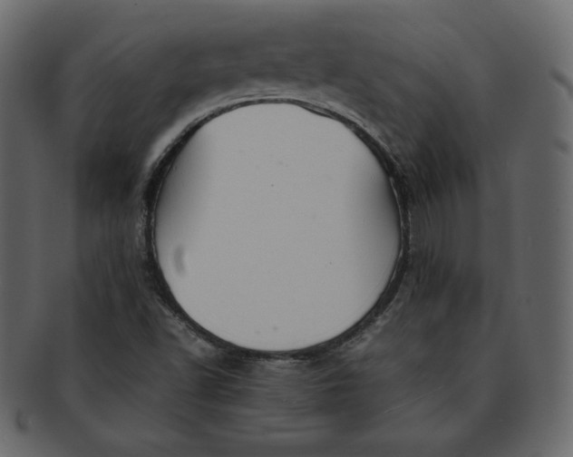 X0000092281502200710051134