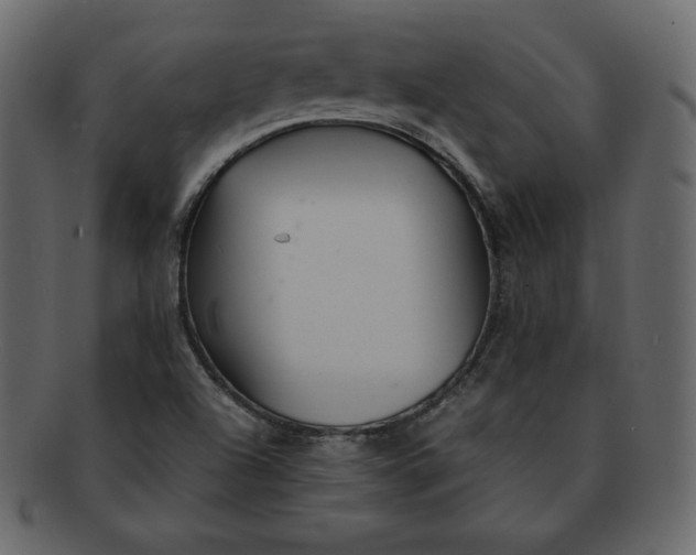 X0000092281504200710051134